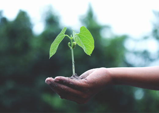 Piano sostenibilità