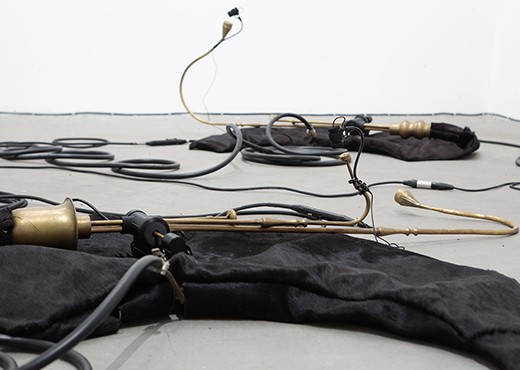 La Parabola del Calabrone