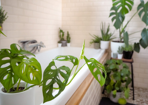 Arredo bagno: bagno in stile urban jungle, dalle piante ai rivestimenti